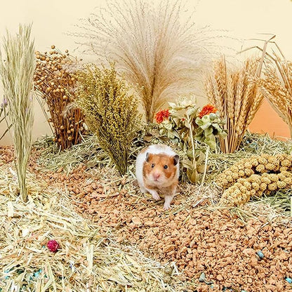 Natural Ear of Grain Flower&amp;Herb Bedding Mate Habitat Decor, Adding Fun Hamster Accessories for Hamsters Gerbils Lemming