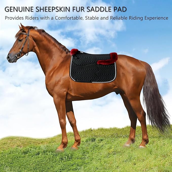 Woolous Dressage Saddle Pad, English Saddle Pad with Sheepskin Trim, Lambskin Wool Fleece Lining, Square Saddle Pad for Equestrian Riding, Comfortable &amp; Shock Absorbing