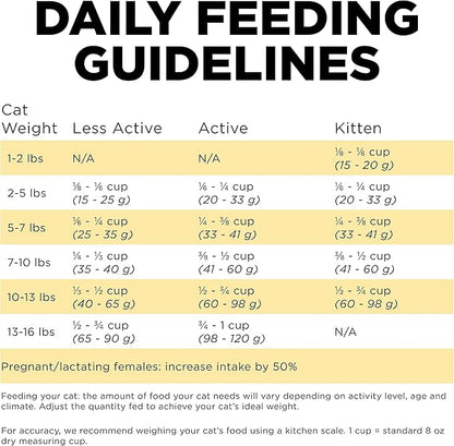 Go! Solutions Sensitivities Limited Ingredient, Grain-Free Dry Cat Food, Duck Recipe for Sensitive Stomach, 16 lb Bag