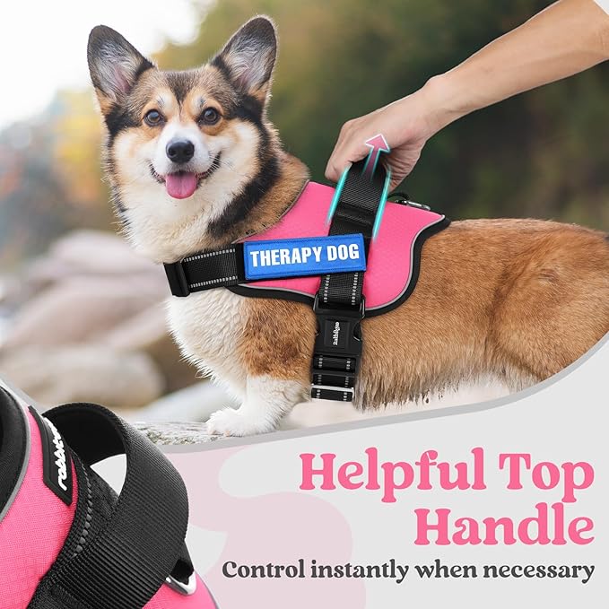 rabbitgoo Dog Harness for Small, Easy On Pet Vest with One Buckle, No Pull Adjustable Service Harness with D-Ring &amp; Handle, Reflective for Safety Walking, Training, Pink, S