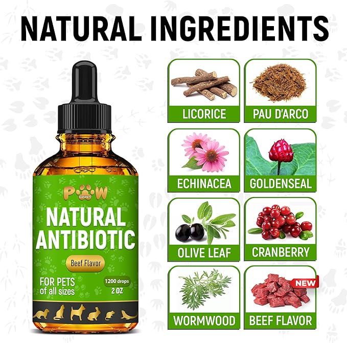 Antibiotics for Dogs | Antibiotics for Cats | Herbal Supplement for Digestion, Breathing, Urination | for Infections, Cough, Allergies | Beef Flavor &amp; Cranberry | for All Pet Breeds | 2 Oz