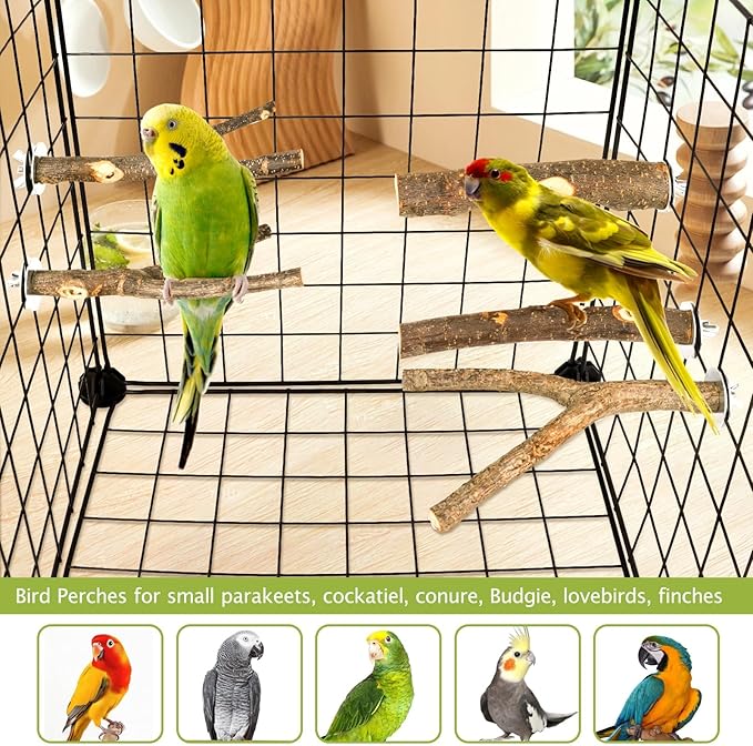 Natural Wood Bird Perches for Cage, Parrot Perch Stand &amp; Platform, Bird Cage Accessories for Parakeets, Cockatiels, Conures, Lovebirds (Brown, Essential Perch Bundle - 5PCS)