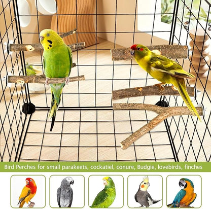 Natural Wood Bird Perches for Cage, Parrot Perch Stand &amp; Platform, Bird Cage Accessories for Parakeets, Cockatiels, Conures, Lovebirds (Brown, Essential Perch Bundle - 5PCS)