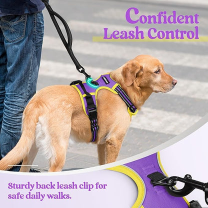 rabbitgoo Dog Harness No Pull with 2 Leash Clips, Adjustable Soft Padded, Reflective Oxford No Choke Pet Vest with Easy Control Handle for Large Dogs, Purple &amp; Yellow, L