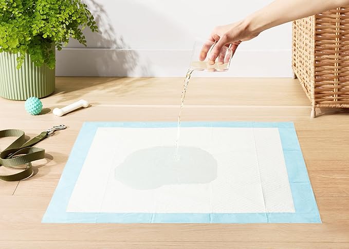 Amazon Basics Dog and Puppy Pee Pads with 5-Layer Leak-Proof Design and Quick-Dry Surface for Potty Training, Standard Absorbency, X-Large, 28 x 34 Inch - Pack of 60, Blue &amp; White