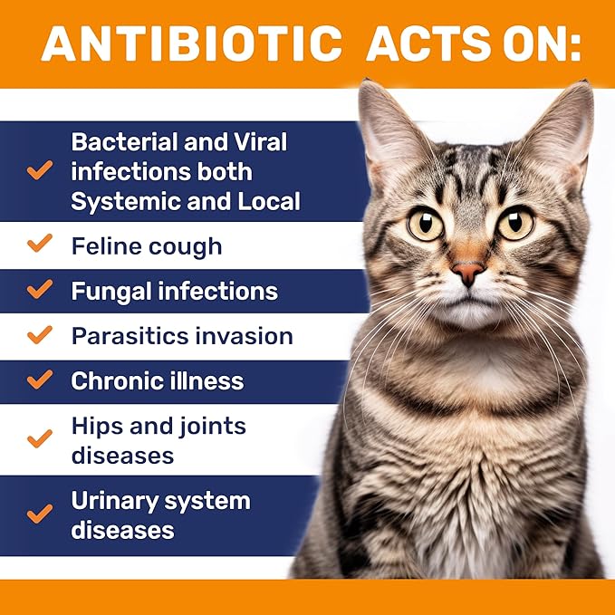 Cat Antibiotic to Help with Cough &amp; Allergies – Antibiotics for Cats to Aid with UTIs and Digestive Moments – HIPS &amp; Joints Support – Attractive Chicken Taste – 1 Oz Bottle