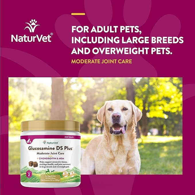NaturVet – Glucosamine DS Plus - Level 2 Moderate Care – Supports Healthy Hip &amp; Joint Function – Enhanced with Glucosamine, MSM &amp; Chondroitin – for Dogs &amp; Cats–120 Soft Chews