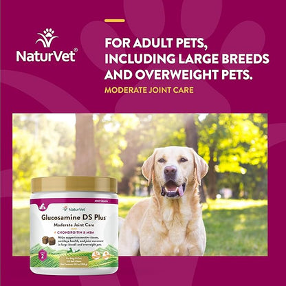 NaturVet – Glucosamine DS Plus - Level 2 Moderate Care – Supports Healthy Hip &amp; Joint Function – Enhanced with Glucosamine, MSM &amp; Chondroitin – for Dogs &amp; Cats–120 Soft Chews