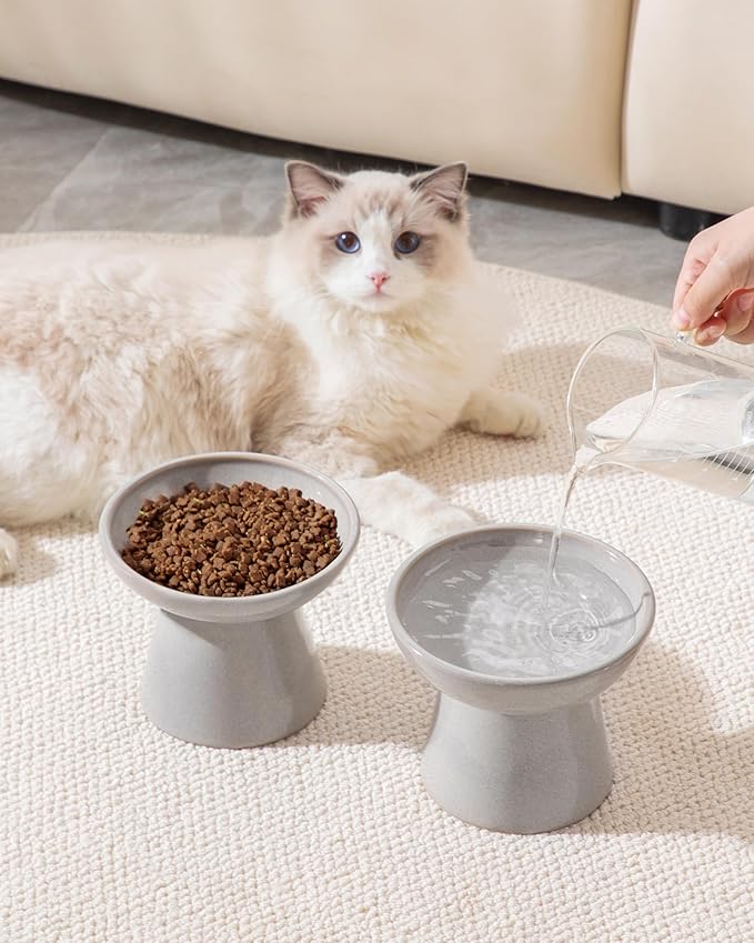 vancasso Ceramic Elevated Cat Bowls 2-Pack - 6.2" Extra Wide Raised Cat Food &amp; Water Dishes, 5.1" Optimal Height Anti-Whisker Fatigue Shallow Bowls for Cats/Kittens/Dogs, Lead &amp; Cadmium Free (Grey)