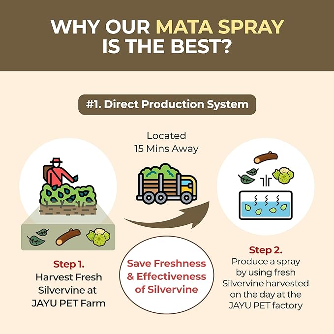 JAYU PET Active MATA Spray – 100% Natural Silvervine Spray for Cats, Liquid Catnip Alternative, Calming Spray for Indoor Kittens, Boosts Play &amp; Engagement, Reduces Stress (1 fl oz)