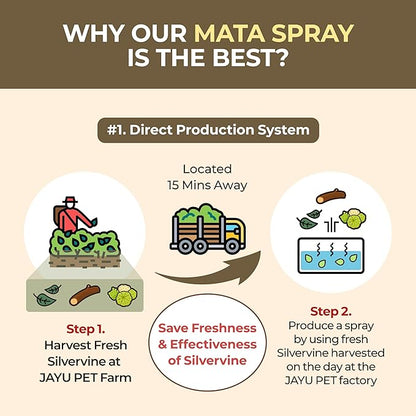 JAYU PET Active MATA Spray – 100% Natural Silvervine Spray for Cats, Liquid Catnip Alternative, Calming Spray for Indoor Kittens, Boosts Play &amp; Engagement, Reduces Stress (1 fl oz)