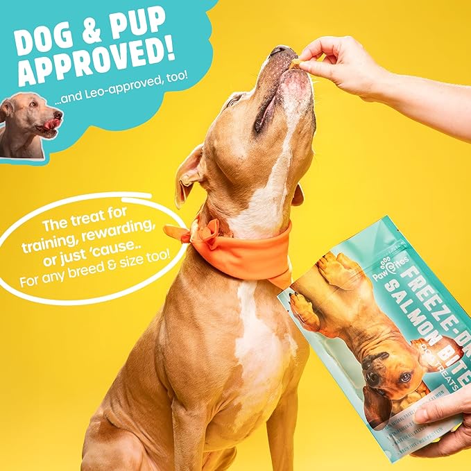 Freeze Dried Dog Treats - Wild Caught Salmon - Dog Food Dry Snacks - with Protein &amp; Omega 3s - for All Breeds &amp; Sizes - No Artificial Flavors &amp; Dyes, No Preservatives - 1 Pouch, 4 oz