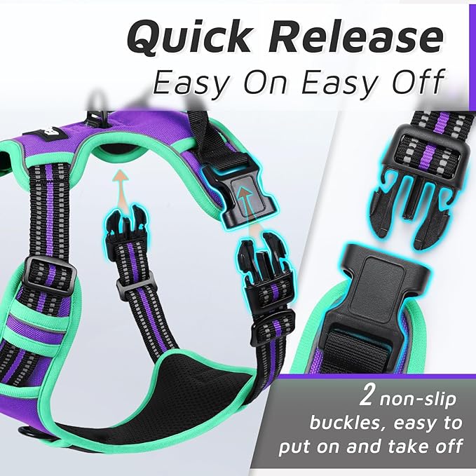 Eagloo Dog Harness Small Sized Dog, No Pull Service Vest with Reflective Strips and Control Handle, Adjustable and Comfortable for Walking, No Choke Pet Harness with 2 Metal Rings, Purple &amp; Green, S