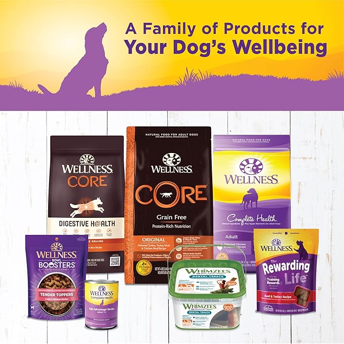 Wellness Complete Health Natural Wet Canned Dog Food, Age Advantage Chicken &amp; Sweet Potato, 12.5-Ounce Can (Pack of 12)