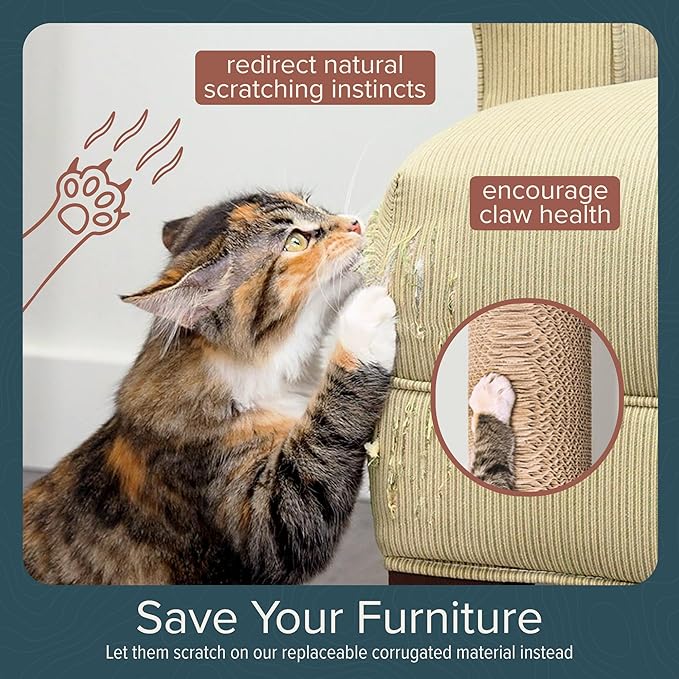 Cat Climbing Wall System – Modern Floating Shelves &amp; Perches for Cats - Sunrise Steps | Ascentials by FurHaven