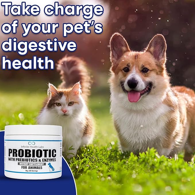 Probiotics for Dogs and Cats - Vet Formulated Made in USA Pet Prebiotic &amp; Enzyme Powder for Digestive, Gut &amp; Immune Health - 200 Servings (50 g)