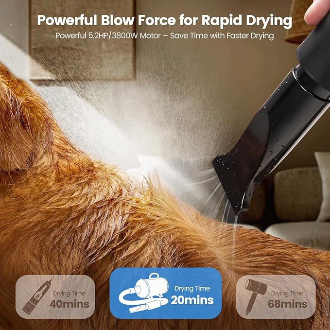 Dog Dryer, 5.2HP/3800W High Velocity Dog Hair Dryer with 4 Nozzles, Stepless Adjustable Speed &amp; Temperature Control, Low Noise Professional Dog Grooming Dryer (Blue)