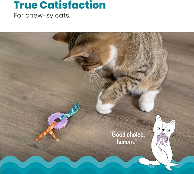 Catstages Kitty Chew Wheel, Dental Cat Toy with Catnip Oil, Teeth Cleaning, Healthy Chewing, Boredom Relief, Kicking &amp; Batting for Kittens and Adult Cats, Purple