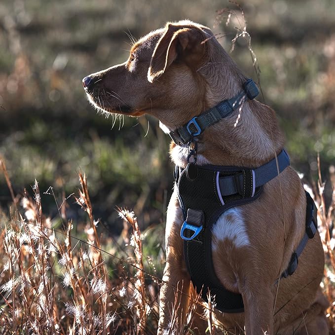 Embark Adventure Dog Harness, Reflective Trim No Pull Dog Harness for Large Dogs - Military Grade Nylon, Front Clip with Gel Lined Handle. Soft &amp; Padded Puppy for Any Breed
