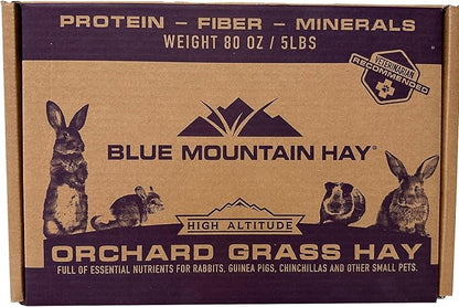 Blue Mountain Hay | Fresh Orchard Grass Hay (5 Pounds) | High Fiber, Soft &amp; Leafy | High-Altitude Hay Pet Food for Rabbits, Guinea Pigs, Chinchillas, Hamsters, and Other Small Pets