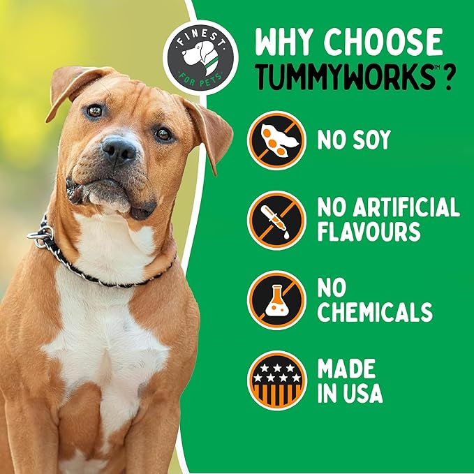 TummyWorks Probiotic 120 Soft Chews for Dogs All Ages - Supports Digestive Health, Relieves Diarrhea, Constipation, Good for Itching, Allergies, Yeast Infections. Added Digestive Enzymes, Made in USA