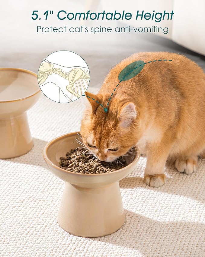 vancasso Ceramic Elevated Cat Bowls 2-Pack - 6.2" Extra Wide Raised Cat Food &amp; Water Dishes, 5.1" Optimal Height Anti-Whisker Fatigue Shallow Bowls for Cats/Kittens/Dogs, Lead &amp; Cadmium Free (Brown)