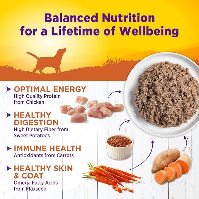 Wellness Complete Health Natural Wet Canned Dog Food Turkey &amp; Sweet Potato, 12.5-Ounce Can (Pack of 12)