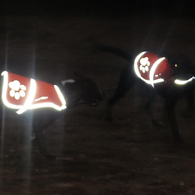 Dog Reflective Vest – Hi-Vis Fluorescent Visibility That Helps to Safeguard Your Pet On/Off Leash in Urban &amp; Rural Areas (Pink, Small)