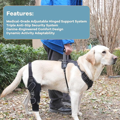 Dog Knee Brace with Adjustable Support – ACL &amp; CCL Tear Recovery, Post-Surgery Stabilization, Mobility Aid for Rear Legs – Includes Secure Chest Harness for Dogs(Right,L)