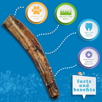 Jack&amp;Pup 12" Rib Bones for Dogs, All Natural Dog Beef Bones, Single Ingredient Bone Marrow, Real Bone for Dogs (3 Pack)