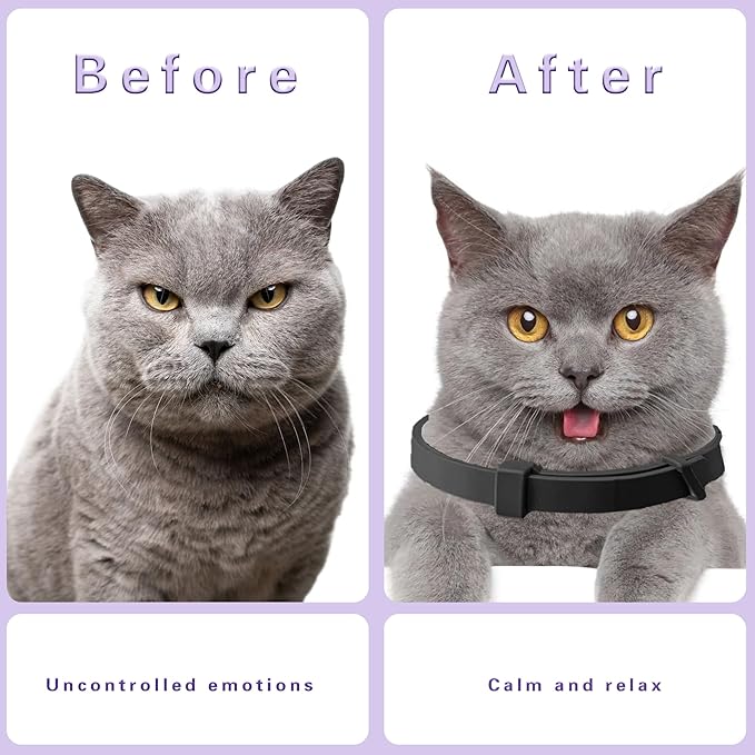 Simnice Calming Collar for Cats - 4 Pack, Adjustable Calming Collar for Cats - Pheromone Cat Collars for Anxiety &amp; Stress Relief, Water-Resistant &amp; Long-Lasting Effect (Black)