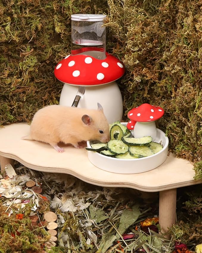 Niteangel Hamster Snack &amp; Treats Toy - Small Animal Natural Treat for Dwarf Syrian Robo Hamsters Gerbils Mice Lemmings Degus or Other Small-Sized Pets