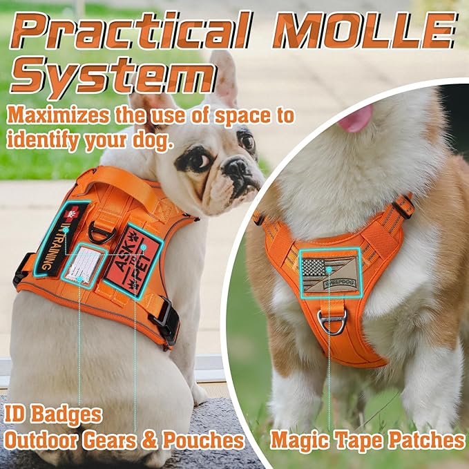 rabbitgoo Tactical Dog Harness for Small Dogs, No Pull Military Service Vest with Handle &amp; Molle, Easy Control for Training Walking, Adjustable Reflective Straps, Orange, S