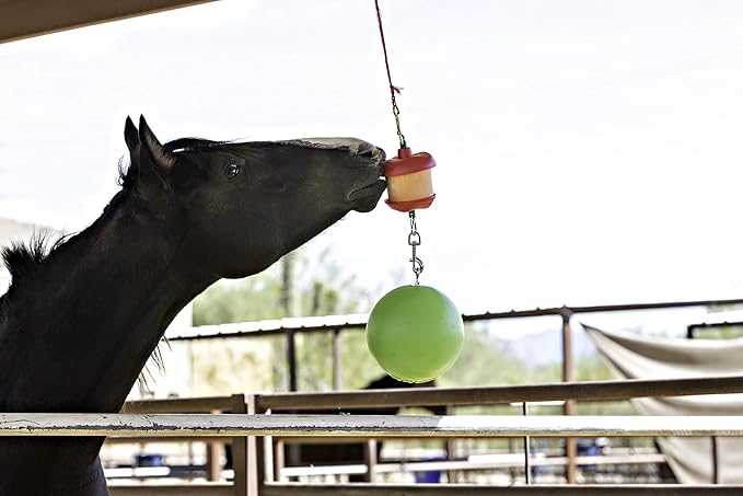 Horsemen&