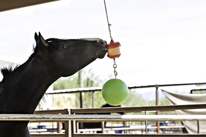 Horsemen&