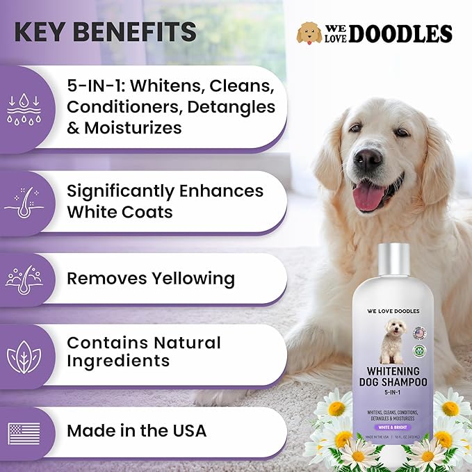 Whitening Dog Shampoo | Made in USA | Brightening Dogs Fur | White &amp; Bright Hair | Removes Stains &amp; Discoloration [We Love Doodles]