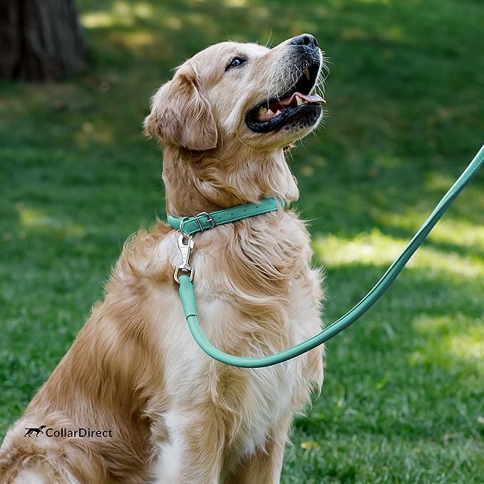 CollarDirect Rolled Leather Dog Collar, Soft Padded Round Puppy Collar, Handmade Genuine Leather Collar Dog Small Large Cat Collars 13 Colors (15-19 Inch, Mint Green Textured)