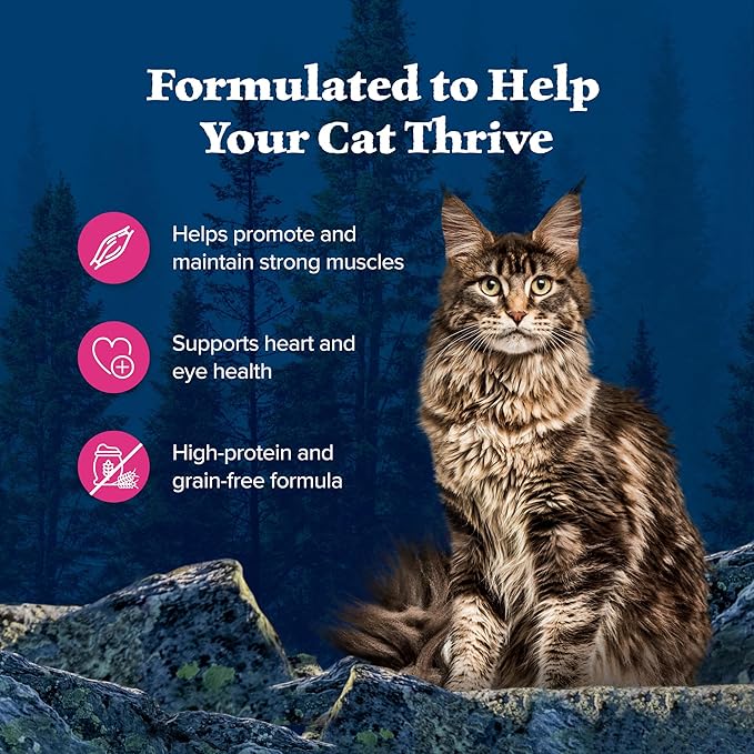 Blue Buffalo Wilderness Wild Delights Meaty Morsels Natural Wet Cat Food, Chicken &amp; Salmon in Tasty Gravy, 3-oz. Cans, 24-Pack
