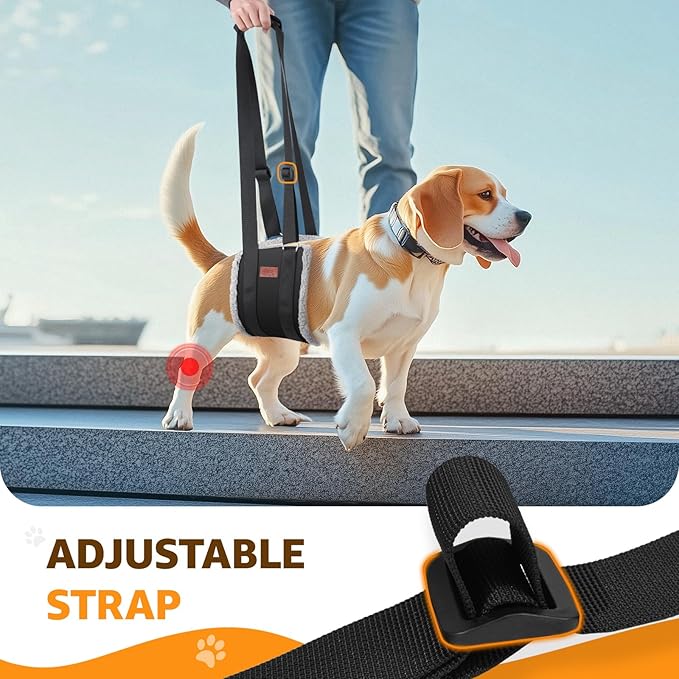Adjustable Dog Lift Harness, Dog Sling for Large Dogs Hind Leg Support, Soft Lift Support Helps Senior, Injured, Disabled and After ACL Surgery Dogs-Black &amp; Grey (Medium)