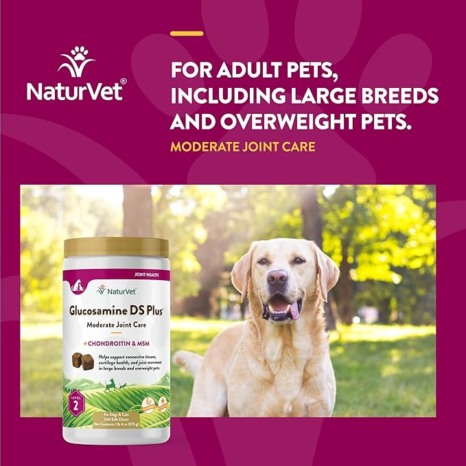 NaturVet – Glucosamine DS Plus - Level 2 Moderate Care – Supports Healthy Hip &amp; Joint Function – Enhanced with Glucosamine, MSM &amp; Chondroitin – for Dogs &amp; Cats – 240 Soft Chews