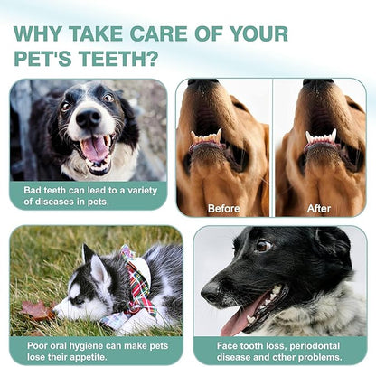 Leoezx™ Professional Pet Toothbrush(4Pcs), Dog &amp; Cat Soft Bristle Double-Sided Brush Head Set, Pet Brushing Teeth to Clean Teeth to Reduce Tartar Buildup, Pet Dental Care Essentials