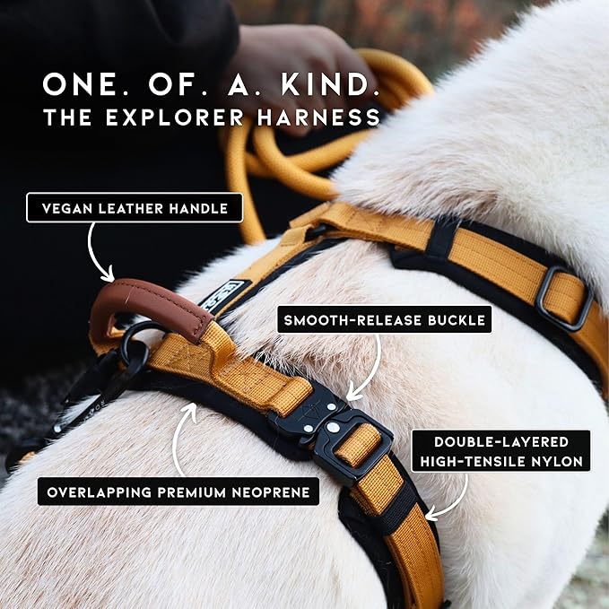 MADE TO ROAM Premium Explorer Harness - Y-Shaped Dog Harness with Adjustable Durable Nylon, Soft Padding, Metal Buckles and Leather Handle for Small, Medium, Large Dogs (Michigan Autumn, Size 5)