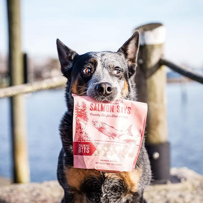 Polkadog Salmon Says Training Bits - Omega-3 Rich, Low Fat Healthy Dog Treat - Digestible, Vitamin &amp; Mineral Packed Dog Snacks - Crunchy 3-Ingredient Treat, Ideal for Dogs with Allergies - 7oz