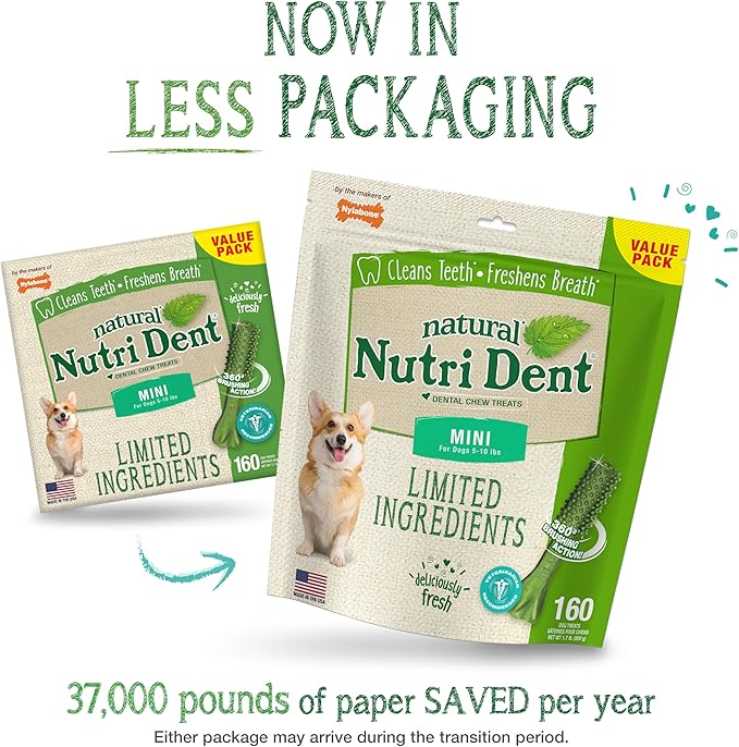 Nylabone Nutri Dent Dog Dental Chews - Natural Dog Teeth Cleaning &amp; Breath Freshener - Dental Treats for Dogs - Fresh Breath Flavor, Mini (160 Count)