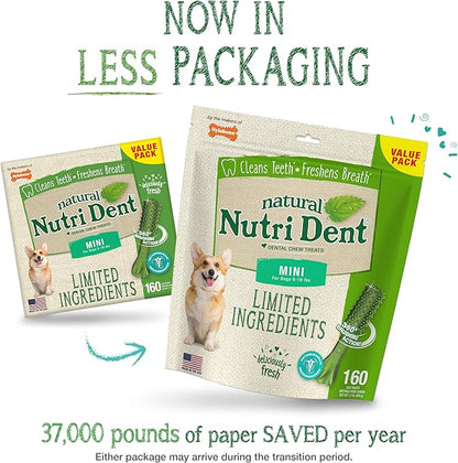 Nylabone Nutri Dent Dog Dental Chews - Natural Dog Teeth Cleaning &amp; Breath Freshener - Dental Treats for Dogs - Fresh Breath Flavor, Mini (160 Count)