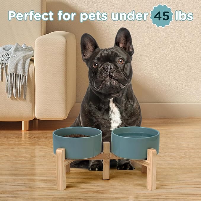 SPUNKYJUNKY Elevated Dog Bowls Ceramic, 6.1&