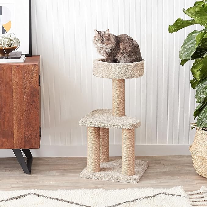 Amazon Basics Cat Tree - Indoor Cat &amp; Kittens Multi-Level Climbing Activity Tower with Scratching Posts, Medium (31.5"H) - Beige
