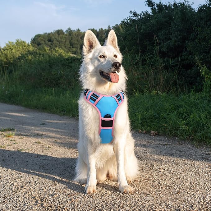 Eagloo Dog Harness for Large Dogs, No Pull Service Vest with Reflective Strips and Control Handle, Adjustable and Comfortable for Walking, No Choke Pet Harness with 2 Metal Rings, Pink &amp; Blue, XL