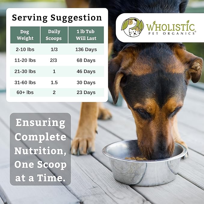 Wholistic Pet Organics Canine Complete - Dog Multivitamin Powder - 1 Lb - Daily Dog Vitamins and Supplements for Homemade Food - Immune System, Skin, Coat &amp; Overall Health - Small and Large Breed