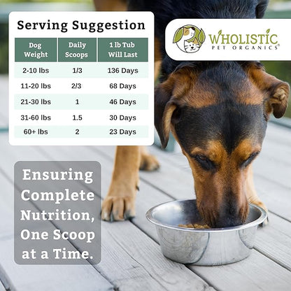Wholistic Pet Organics Canine Complete - Dog Multivitamin Powder - 1 Lb - Daily Dog Vitamins and Supplements for Homemade Food - Immune System, Skin, Coat &amp; Overall Health - Small and Large Breed